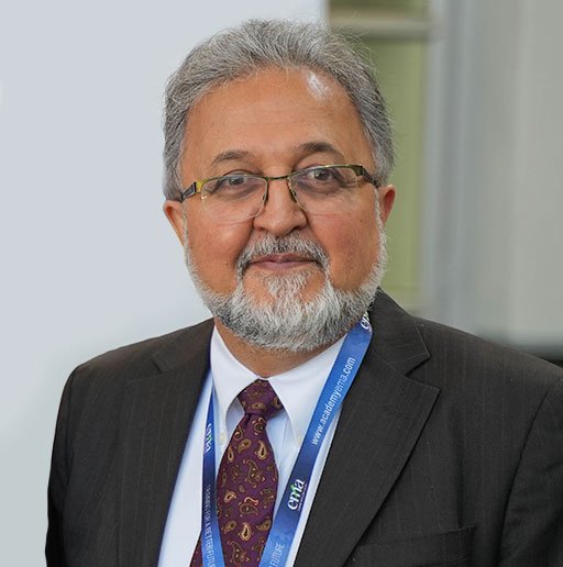 Dr. Asghar Adelzadeh, Co-director at the Economic Modelling Academy
